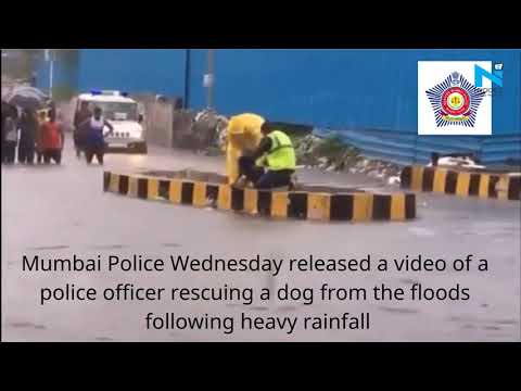 Internet 'Salutes' Mumbai Police officer who saves dog from drowning during floods