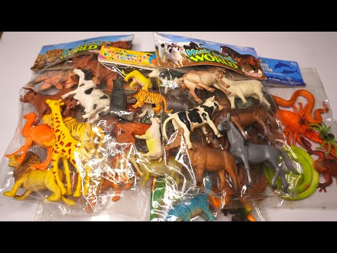 sea animals entertainment 13+ dinosaurs horse tiger lion zebra cow camel deer leopard. Animals Demo