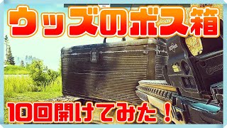 【EFT/タルコフ】Shturman keyでボスの箱10回開けてみた！マケで鍵を買っても元は取れるのか・・・？/Escape from Tarkov【ゆっくり実況】