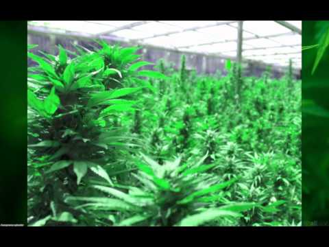 Charly Black Ft. Conflict ft Ermias360 - Bubble Again