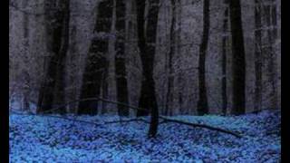 Dreamcatcher by Secret Garden