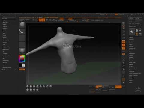 Human Torso Practice ZBrush Digital Sculpting