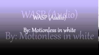 Wasp Motionless In White