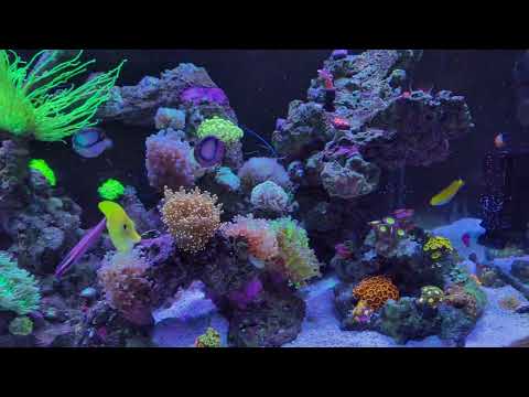 My little piece of ocean