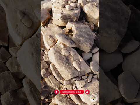 Eidechsenburg bauen: So legst du den perfekten Steinhaufen für Reptilien an