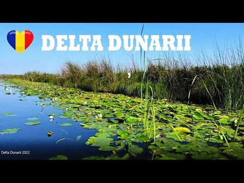 Delta Dunarii | Romania | Full Review - Best Places to Visit