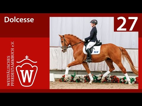 27 Dolcessa Wallach v. Dankeschön - Riccio