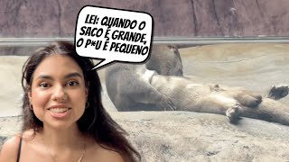 ELAS CONHECERAM O AQUARIO EM BC