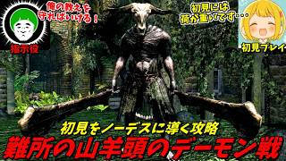 初見の素人でも教育しまくれば、山羊頭のデーモンをノーデス撃破余裕説！ #3【人間ラジコンダークソウル】
