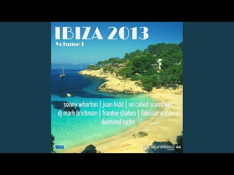 Fly High (Bricks Nikki Beach Mix)