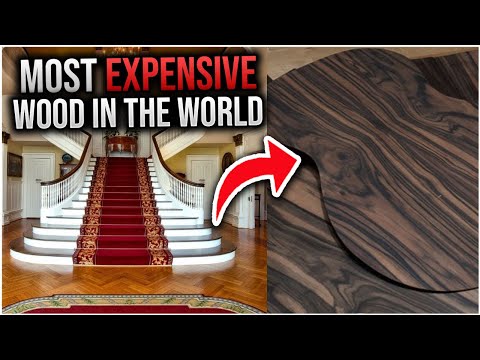 Ranking the most Expensive Wood In The World! (This is ridiculously EXPENSIVE)