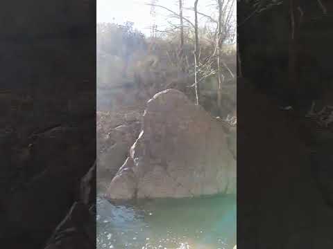 bosque en estancia vieja córdoba