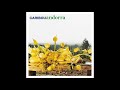 CARIBOU - Sandy