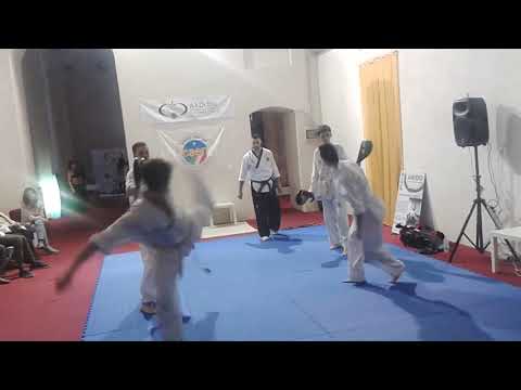 A.I.Di.Bio.   Bari Benessere a San Nicola 2015   Pratica di TAEKWONDO