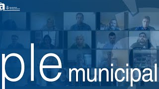 Ple municipal ordinari 28 de gener de 2021