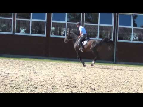 STOLZENBERG v. Stakkato