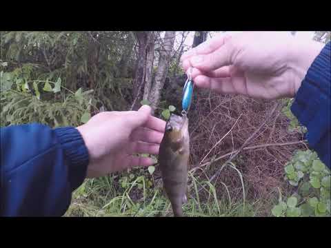 Markus Kalassa Jokikalastus 2019 - Kirrekeisari Kalastussarja Jakso 3/5