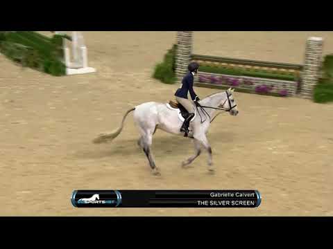 The Silver Screen, 3'6" AO Handy at 2017 PNHS