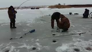 Зимняя рыбалка краснодарского края