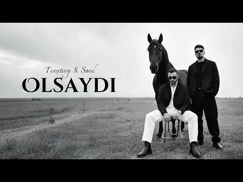 Sned & Twoxtasy - Olsaydı 