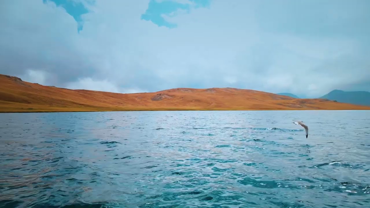 New song -Hua Nuzool - Arif Bhatti - Coming soon