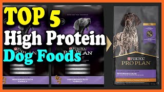 ✅Top 5 Best High Protein Dog Foods Reviews in 2025
