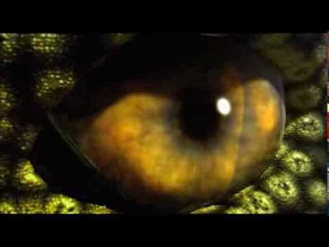 Death of the Megabeasts