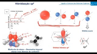 Hibridização do Átomo de Carbono e Orbitais Moleculares
