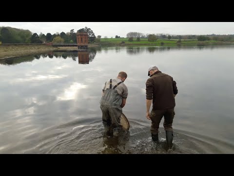 National Tench Heritage Alliance Sywell Stockings 2017 - 2020