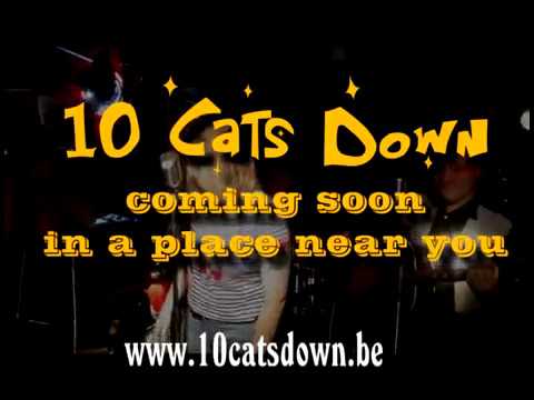 10 cats down trailer