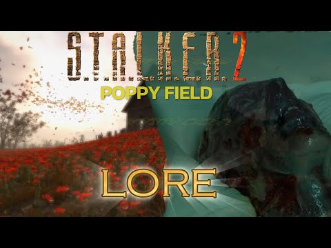 The Secret Truth Behind S.T.A.L.K.E.R. 2's Infamous Poppy Field Revealed!