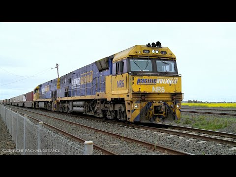 6MP4 Pacific National / TOLL Container Train (4/10/2019) - PoathTV Australian Railways