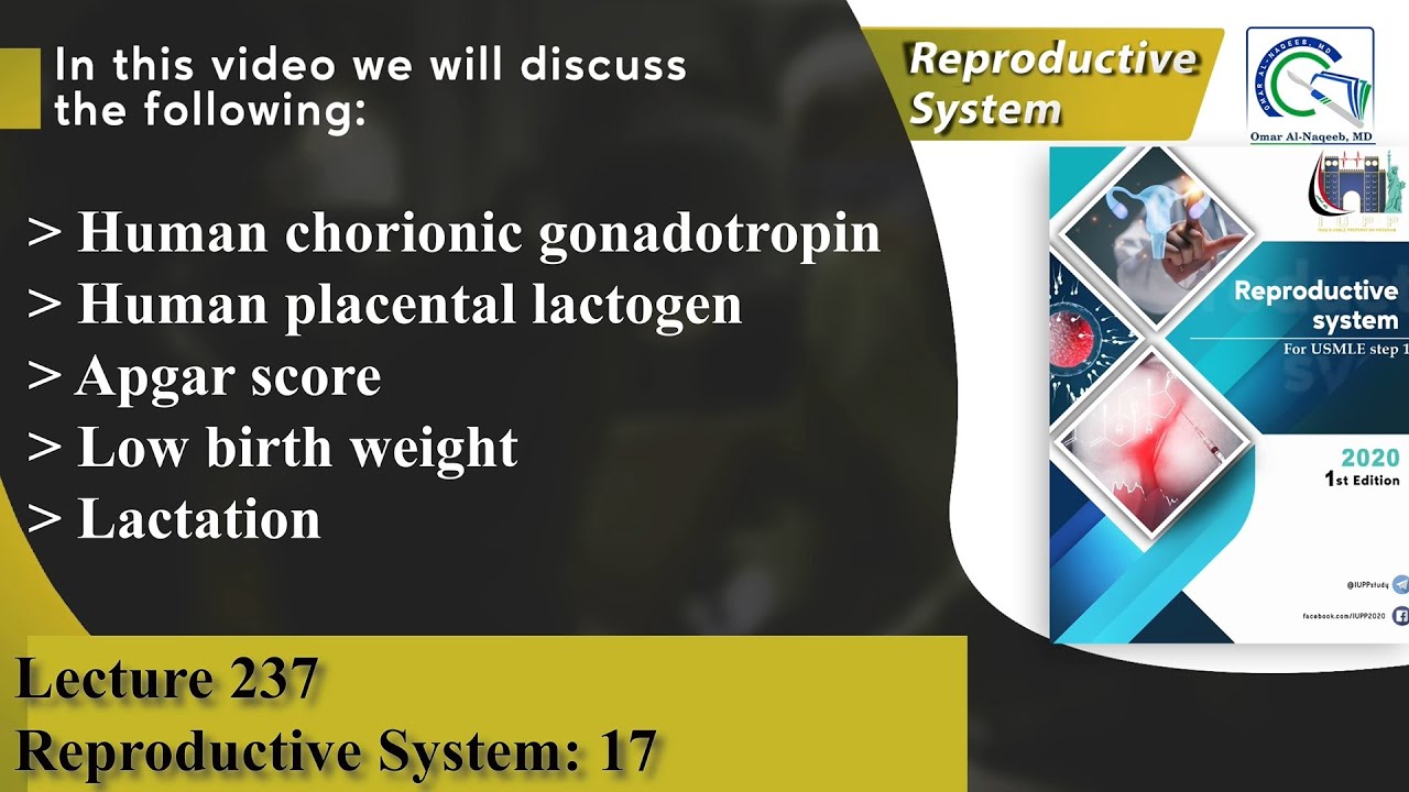 Human chorionic gonadotropin | Human placental lactogen | Apgar score | Low birth weight |Lactation