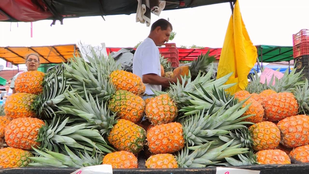 Costa Rica: Markttreiben (0:49)