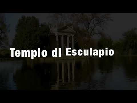 Thomas Oboe Lee: Tempio di Esculapio ... No. 512
