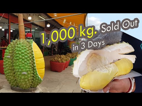 Amazing skill ! Durian Cutting Master with 1,000 kg. durians sold out within 3 days.