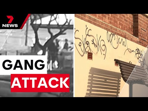 Youths armed with knife terrorise Sturt SANFL players at Unley Oval | 7 News Australia