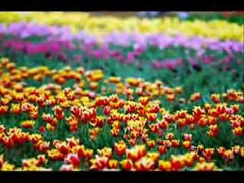 As quatro estações - Vivaldi