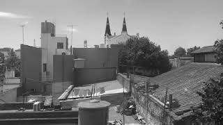 Decomposing Trees : Galaxie 500 : ARGENTINA