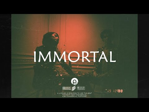 [FREE] J Hus x Burna Boy x Pa Salieu Type Beat 2023 - IMMORTAL | UK Rap x Afroswing Instrumental