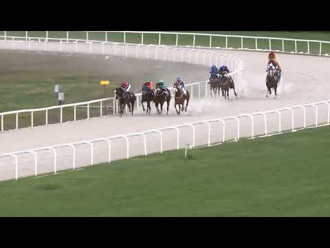 2022.04.24. 01. futam - NYERETLENEK VERSENYE (V.kat.) I. rész (szintetikus pálya)