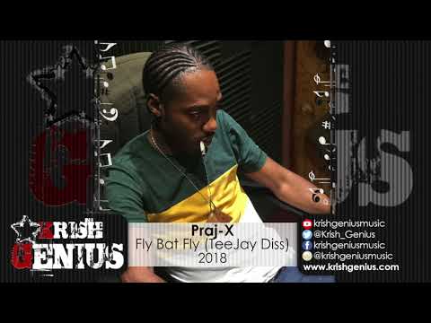 Praj-X - Fly Bat Fly (TeeJay Diss) February 2018