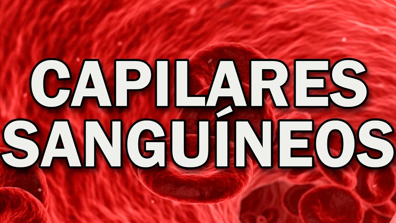 Capilares Sanguíneos