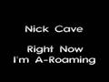 Nick Cave - Right Now I'm A-Roaming 