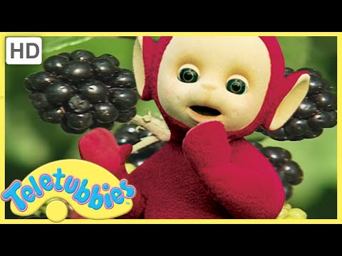 ★ Teletubbies English Episodes ★ Blackberry Picking ★ Full Episode - HD (S08 E194)