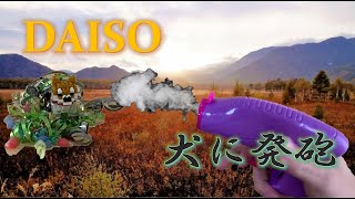 เลโก้ ปืนของเล่น DAISO【ダイソー】パーティ銃が想像以上だからレゴ犬に打ったった笑【Daiso】Party gun was good so I shot Lego dog lol.