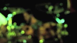 Skysaw Live (Charleston, SC, 5/29/11) - Cathedral