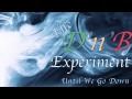 Ruelle - Until We Go Down (The D'n'B Experiment ...