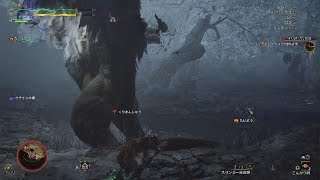 Monster Hunter Wilds　放送事故