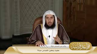 041 كيف يكون القصاص حياة؟ #منتقى_الفوائد image